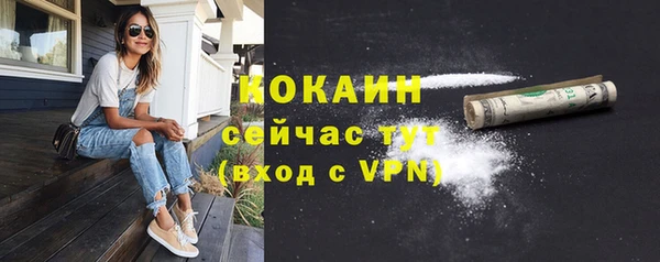 спайс Няндома