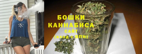 спайс Няндома