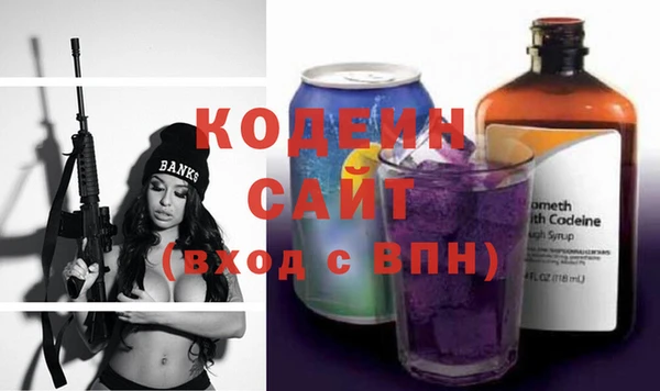 спайс Няндома