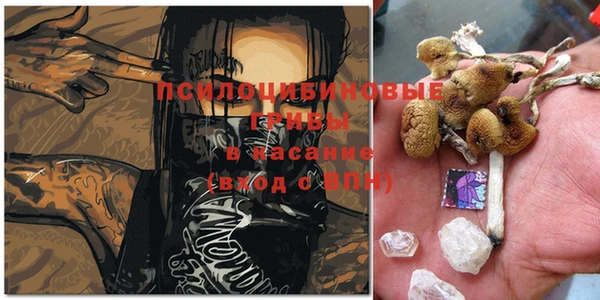дурь Нягань