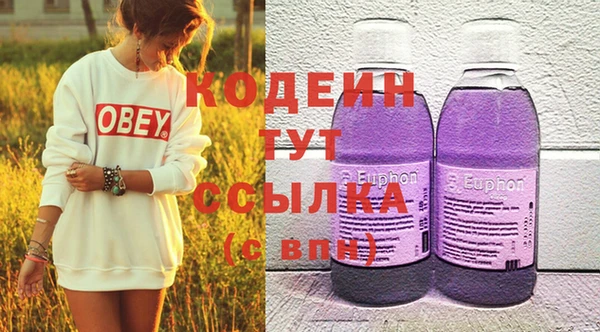 спайс Няндома