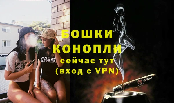 спайс Няндома