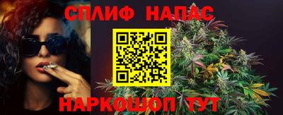 гидра Азнакаево