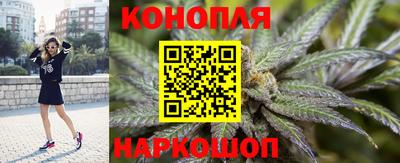 крисы Азнакаево