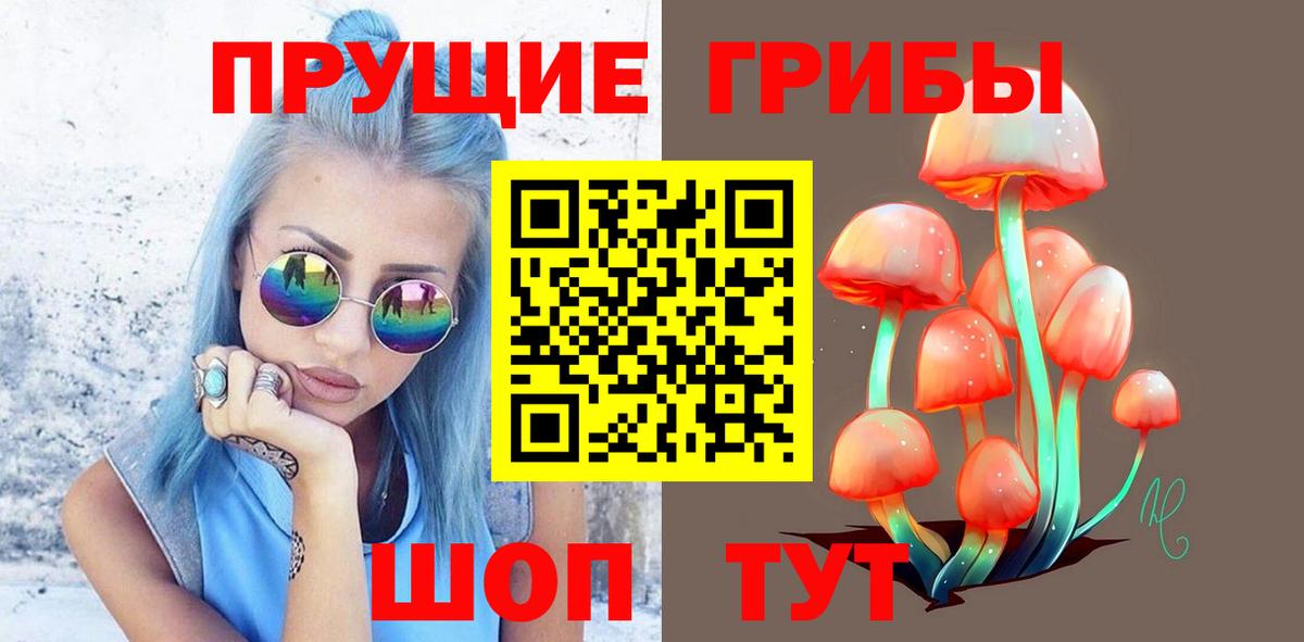 Псилоцибиновые грибы Psilocybine cubensis Абинск